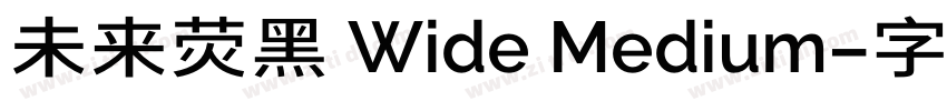 未来荧黑 Wide Medium字体转换